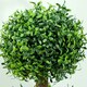 image 8 of HOMCOM Set of 2 Decorative Artificial Plants Boxwood Trees in Pot, Green