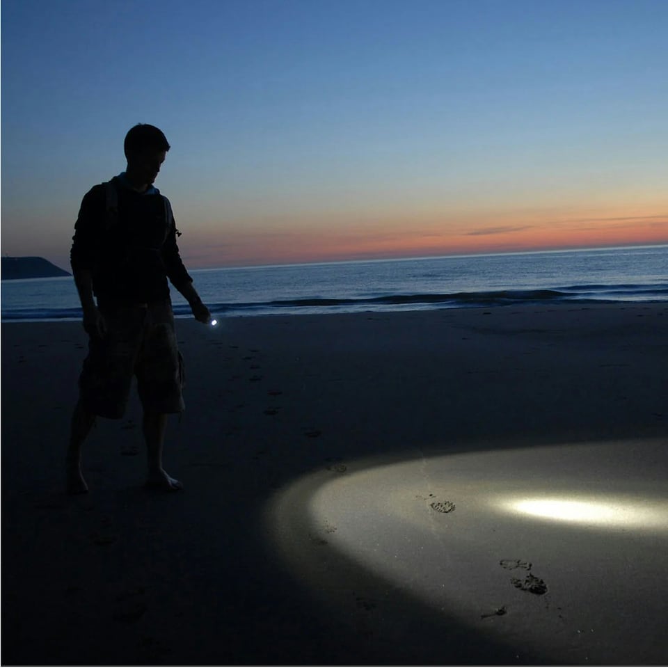 image 1 of Lifesystems LED Handheld Torch Battery Powered 480 lm
