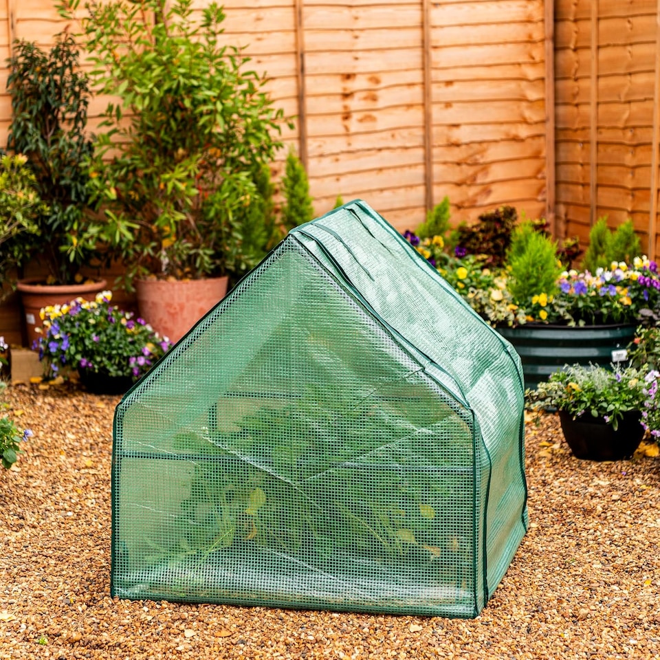 image 1 of Garden Gear Compact Apex Cloche | Green | 1