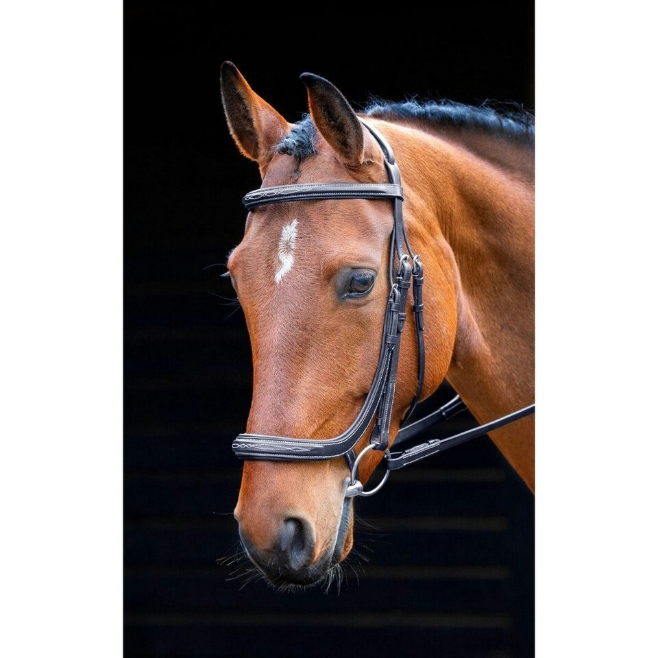 Salisbury Berkeley Leather Horse Bridle - Black - Pony