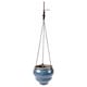 image 3 of Burgon & Ball Hanging Pot Baby Bombino Trio