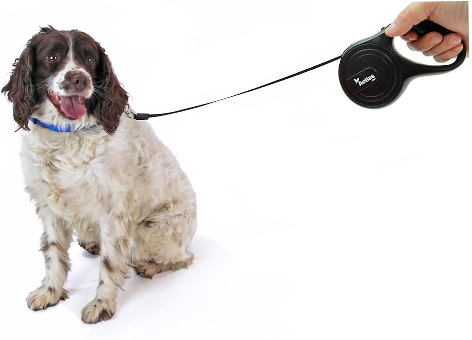 image 1 of Actiaspet Retractable Dog Lead Training Pet Leash 5m Max 50kgs Extendable (Black)
