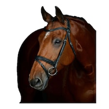 Collegiate Comfitec Leather Horse Bridle | Black | Black | Warmblood | 1