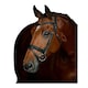 image 1 of Collegiate Comfitec Leather Horse Bridle | Black | Black | Warmblood | 1