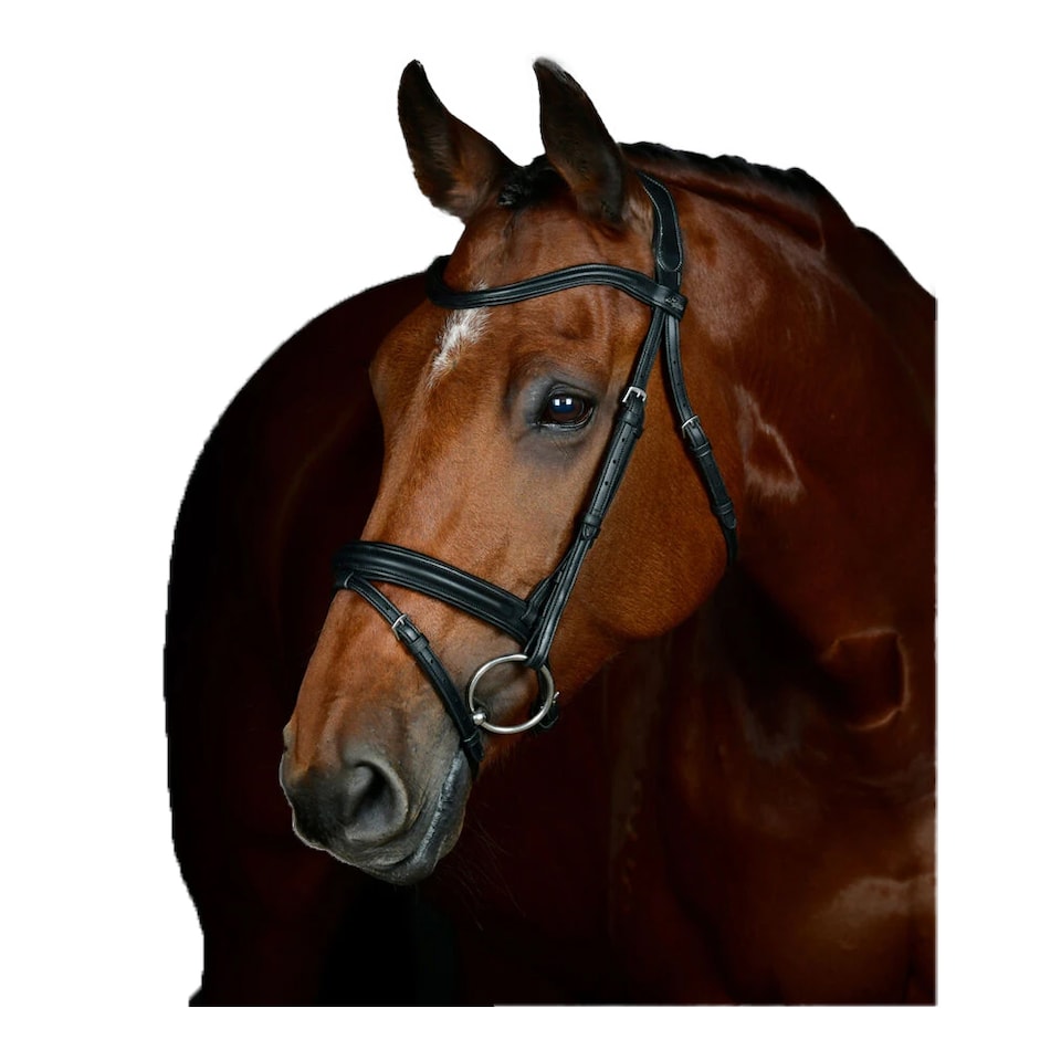 image 1 of Collegiate Comfitec Leather Horse Bridle | Black | Black | Warmblood | 1