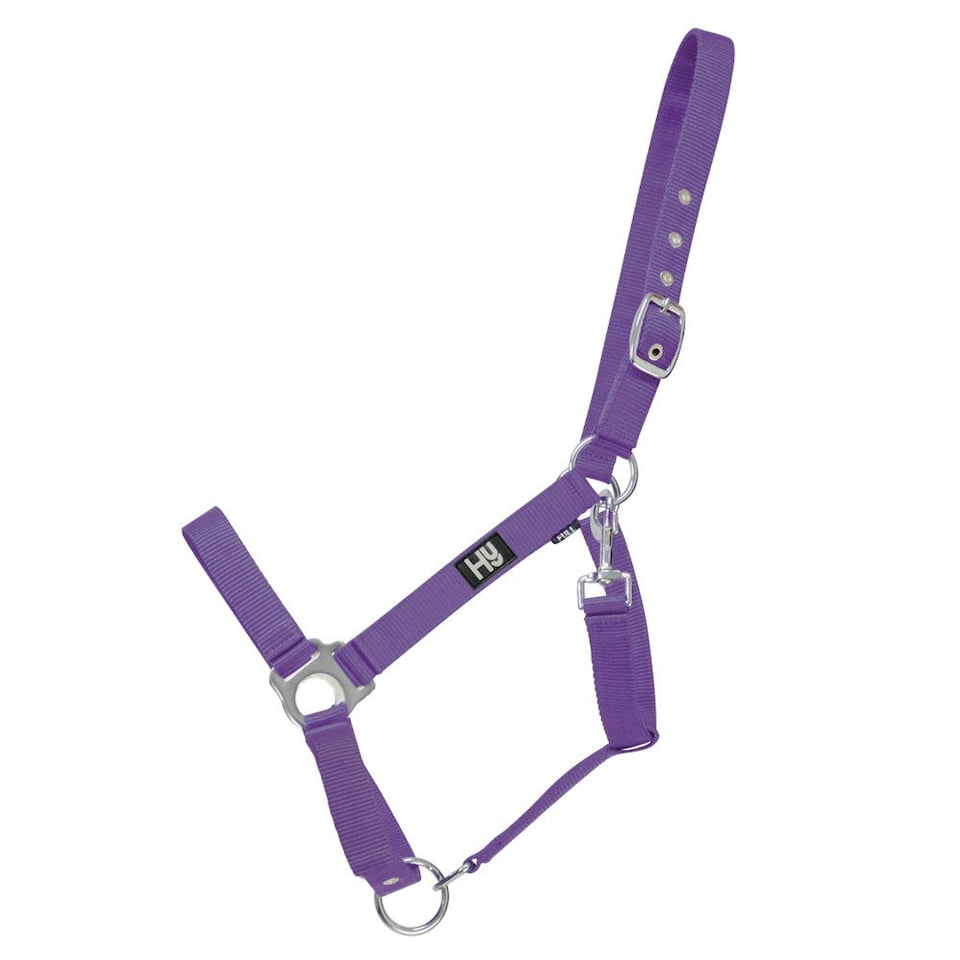 Hy Economy Plus Head Collar - Purple - Cob