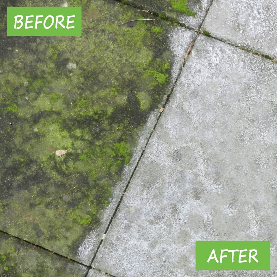 image 1 of ALGAE, LICHEN & MOULD Crikey Mikey Outdoor Treatment Professional 20L Kit