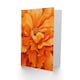 image 2 of Orange Marigold Flower Modernist Floral Him Her Birthday Card