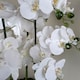 image 3 of 50cm Artificial Orchid with Glass Planter - White