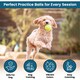 image 4 of BLUOM Pack Of 24 Tennis Balls Pack with Mesh Carry Bag for All Courts Pressureless