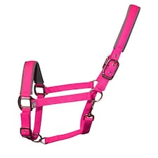 Woof Wear Contour Head Collar Red | Size: Cob
Colour: Berry