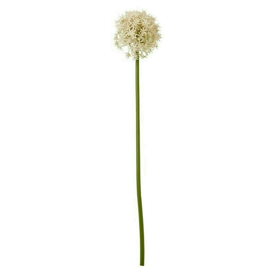 image 1 of Pink Medium Allium (Single Stem Flower) - Plastic - L16 x W16 x H80 cm - Pink