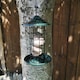 image 2 of Tom Chambers Oriental Stylish Garden Wild Bird Hanging Green Metal Fat Ball Feeder