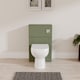 image 2 of Balterley Modern Bathroom Retro Floor Standing WC Back to Wall Toilet Unit | Green | Satin Green