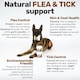 image 4 of Flea & Tick Treats