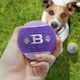 image 2 of Pre-Personalised Dog Ball Gift Pack 2pcs Purple B