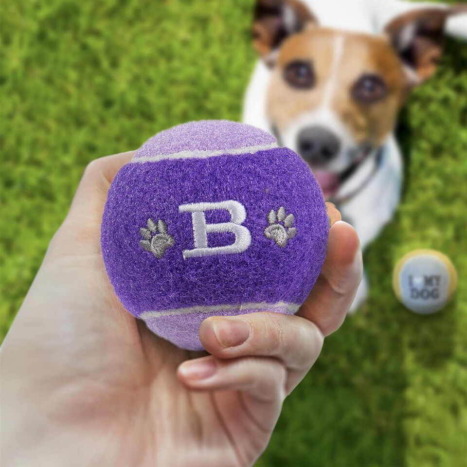 image 1 of Pre-Personalised Dog Ball Gift Pack 2pcs Purple B