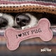 image 2 of History & Heraldry Pre-Personalised Squeaky Bone Dog Toy - Pug