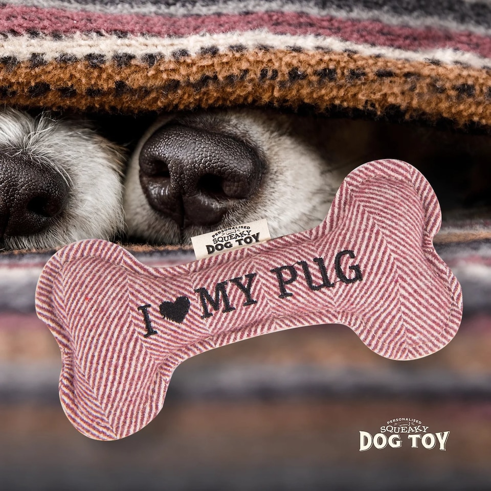 image 1 of History & Heraldry Pre-Personalised Squeaky Bone Dog Toy - Pug