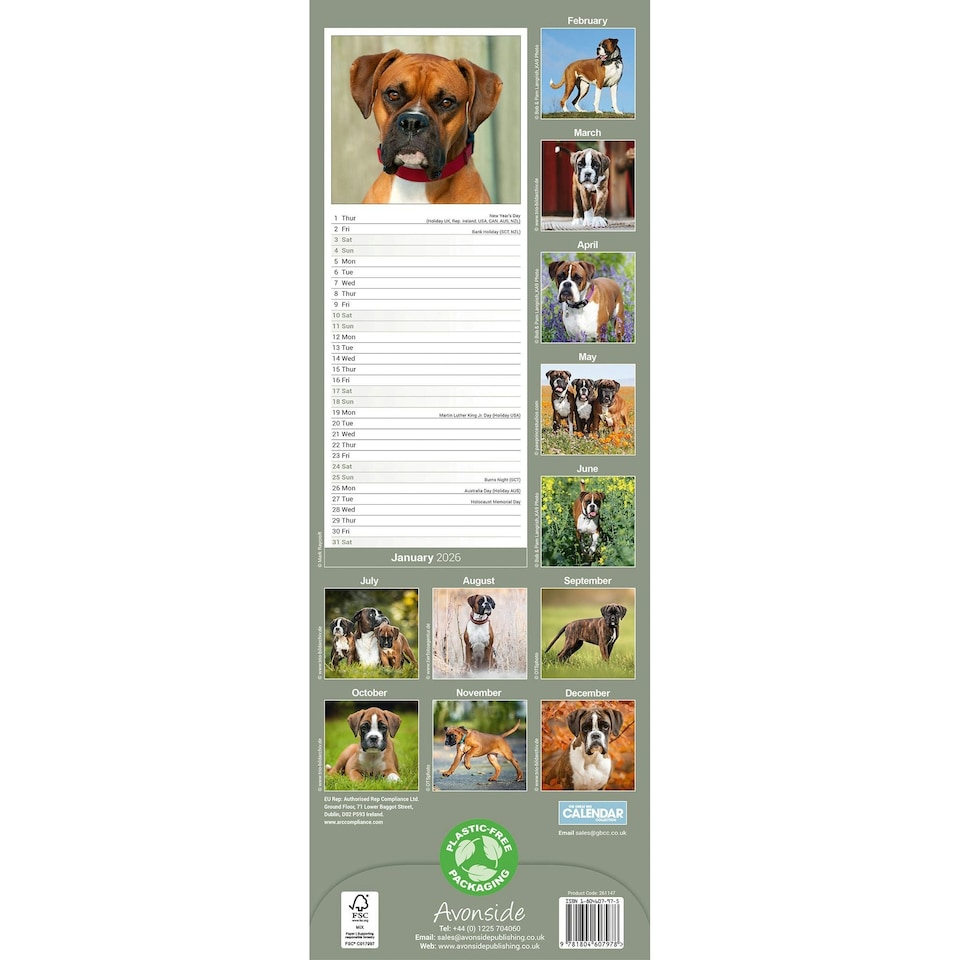 image 1 of Boxer Slim 2026 Calendar | Slimline Wall Calendar | Dog Breed Gift | Plastic Free Packaging | by Avonside Publishing [Calendar] Avonside Publishing Ltd