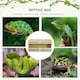 image 3 of PawHut Reptile Terrarium, Climbing Pet Container w/ Transparent Sliding Doors