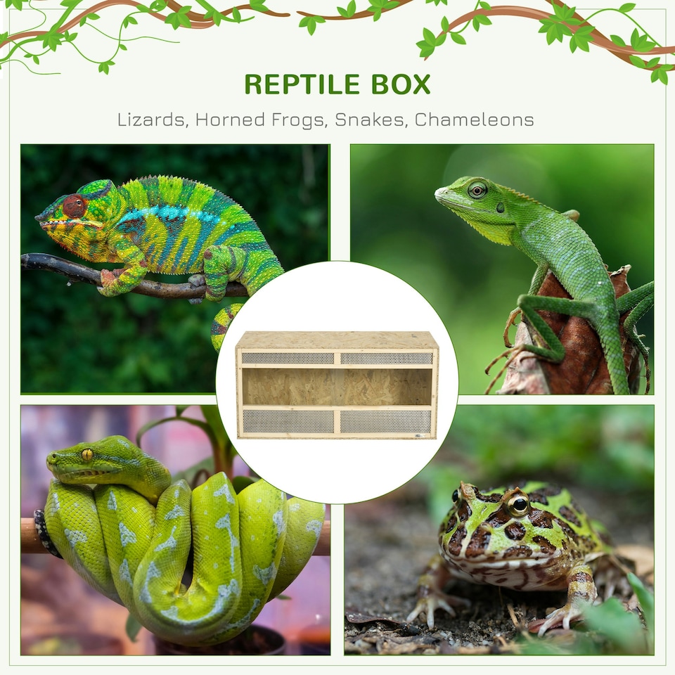 image 1 of PawHut Reptile Terrarium, Climbing Pet Container w/ Transparent Sliding Doors