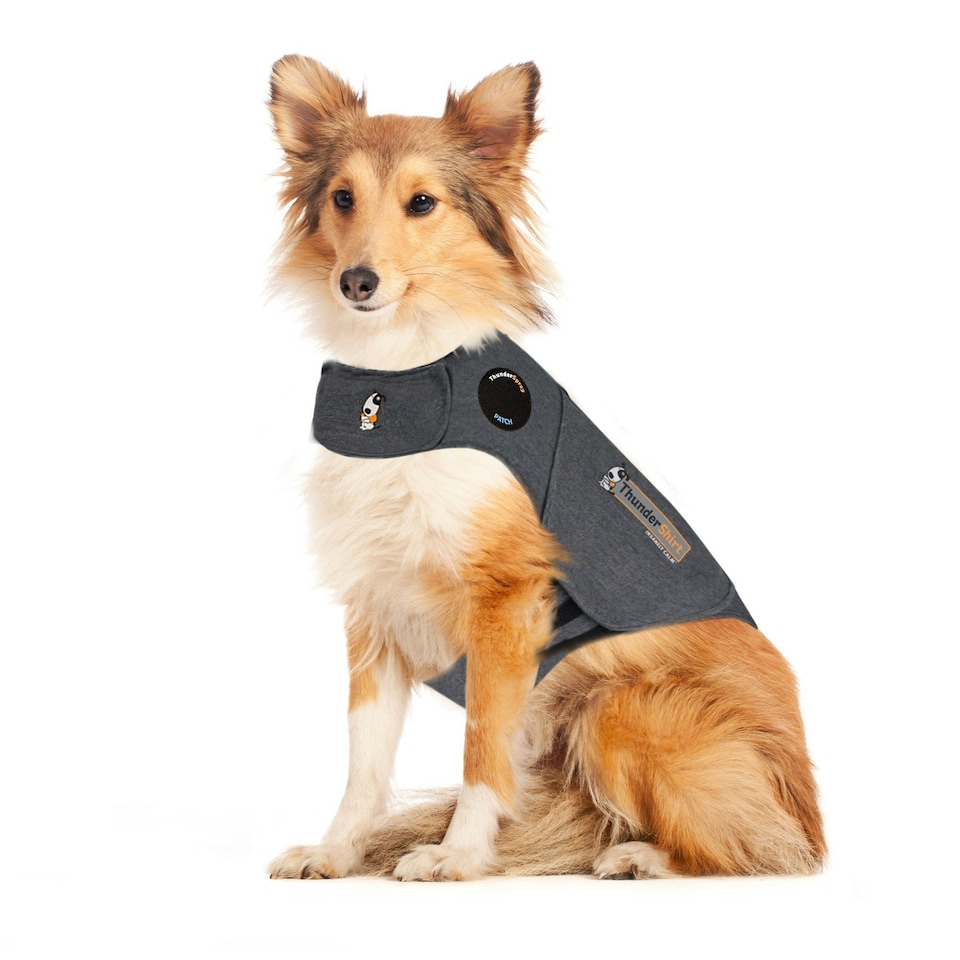 image 1 of Thundershirt Stress & Anxiety Relief Coat For Dogs - Grey Large