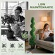 image 4 of HOMCOM Set of 2 Potted Artificial Plants, Topiary Spiral Boxwood Trees | Green | Boxwood Green | 5ft