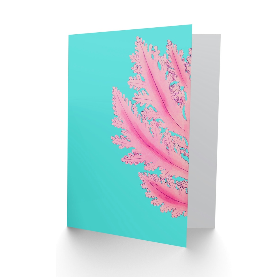 image 1 of Turquoise Sea Ocean Marina Plant Pink Art Card