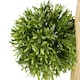 image 4 of 120cm UV Resistant Balls Topiary - 480 Leaves - Natural Trunk | Green | 4ft