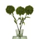 image 3 of Hill Interiors Dianthus Artificial Plant - Dark Green - 53cm