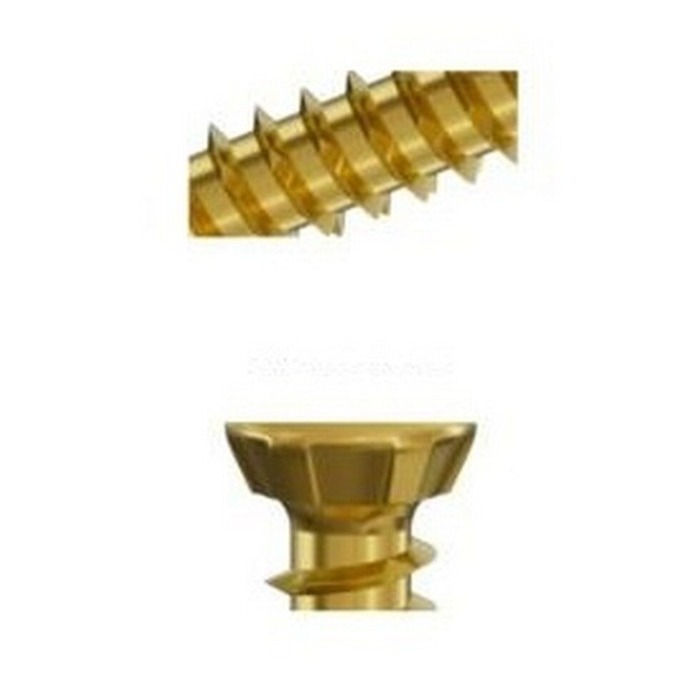 image 1 of Securfix Concrete Countersunk Frame Screw (Pack of 100) | Gold | Gold | 182mm x 7.5mm | 1