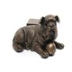 image 3 of Resting British Bulldog Plant Pot Feet - Set of 3 - L8.2 x W9 x H8.5 cm | Grey
