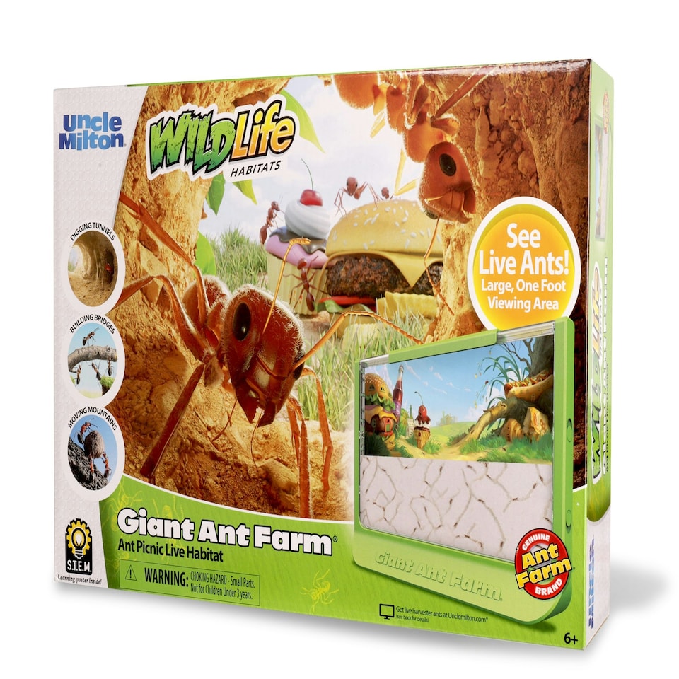 image 1 of Giant Ant Farm