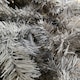 image 2 of 8ft (2.4m) Plain Grey Colorado Spruce Wrapped Christmas Tree 1097 Tips