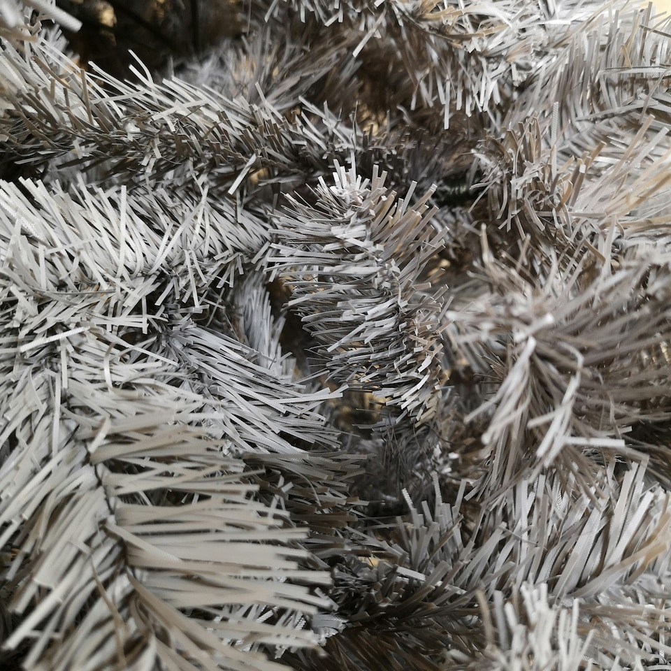 image 1 of 8ft (2.4m) Plain Grey Colorado Spruce Wrapped Christmas Tree 1097 Tips