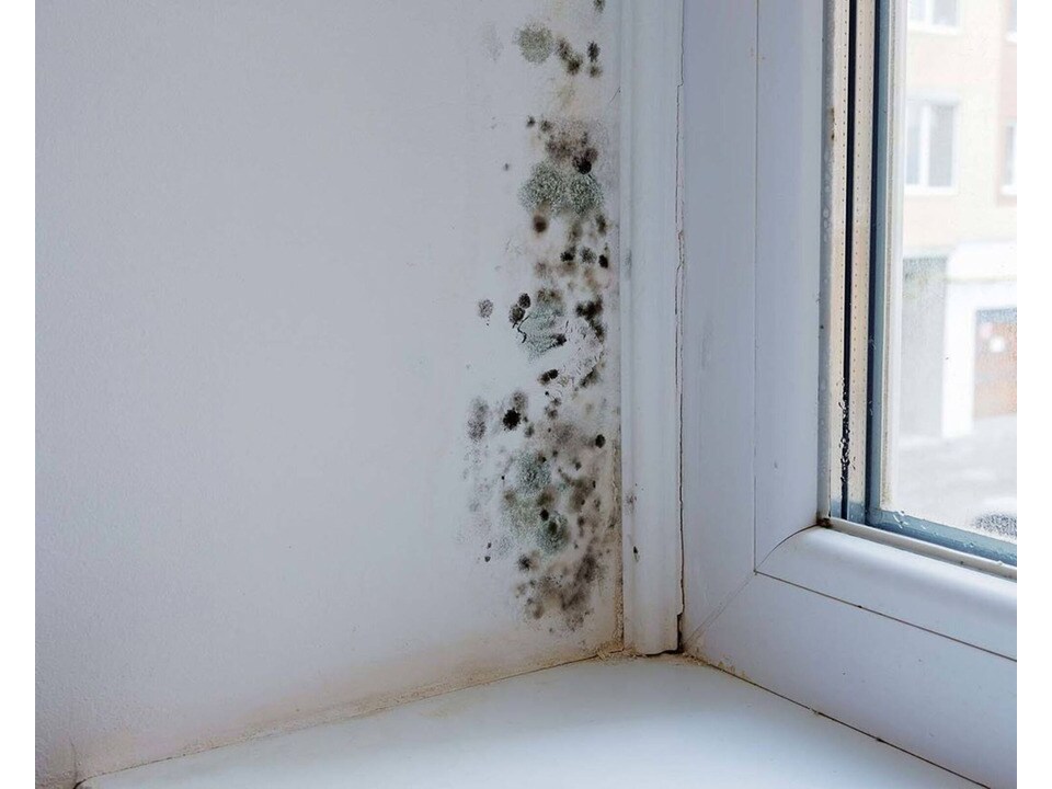 image 1 of SmartSeal - Anti-Mould Paint - Brilliant White (5L) For Bathroom, Kitchen and Bedroom Walls & Ceilings - Protection Against Mould