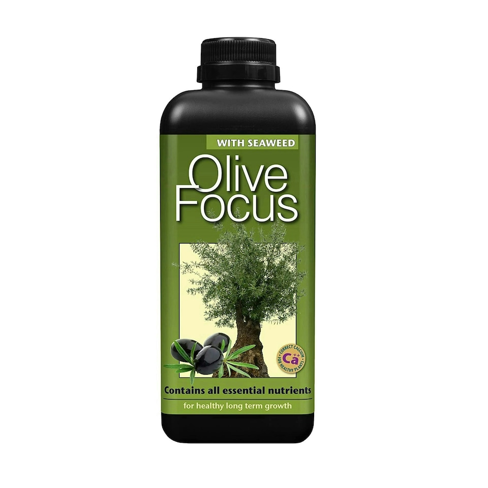 image 1 of Growth Technology Olive Focus N/A | S