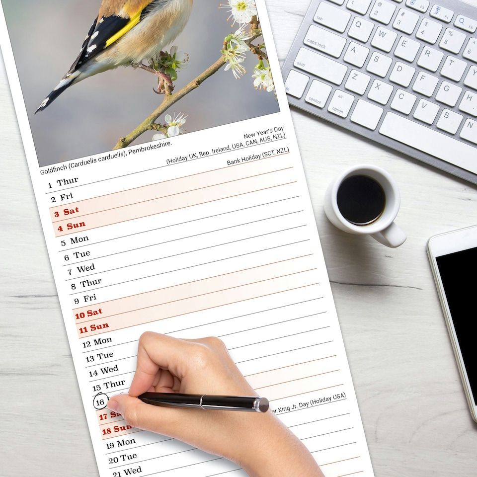 image 1 of British Wildlife 2026 Calendar | Slimline Wall Calendar | Animal & Wildlife Gift | Plastic Free Packaging | Avonside Publishing Ltd