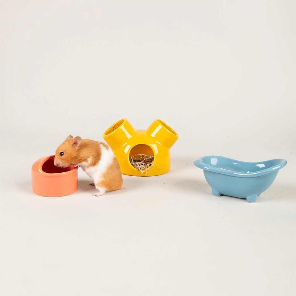 image 1 of Scruffs Small Pet Colours Ceramic Set - House, Sand Bath & Food Bowl