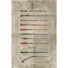 Harry Potter Wands Poster - Multi-color - One Size