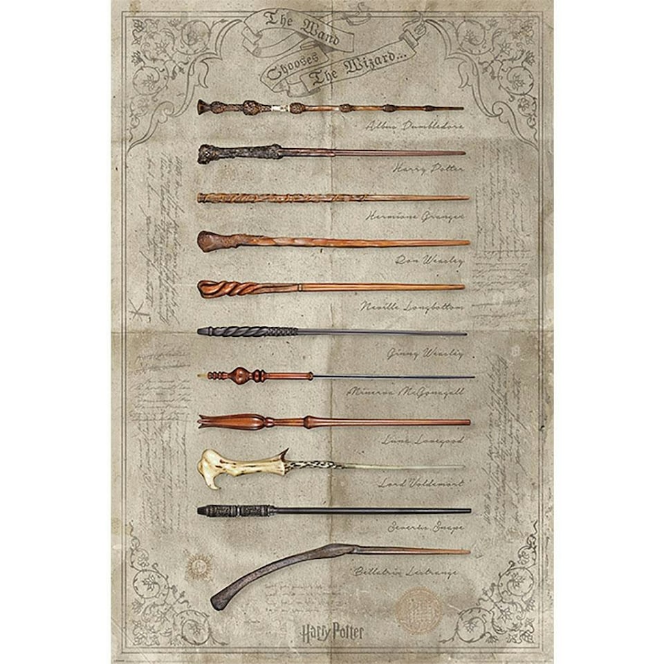 Harry Potter Wands Poster - Multi-color - One Size