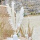 image 2 of Bleached Pampas Grass - Pack of 5