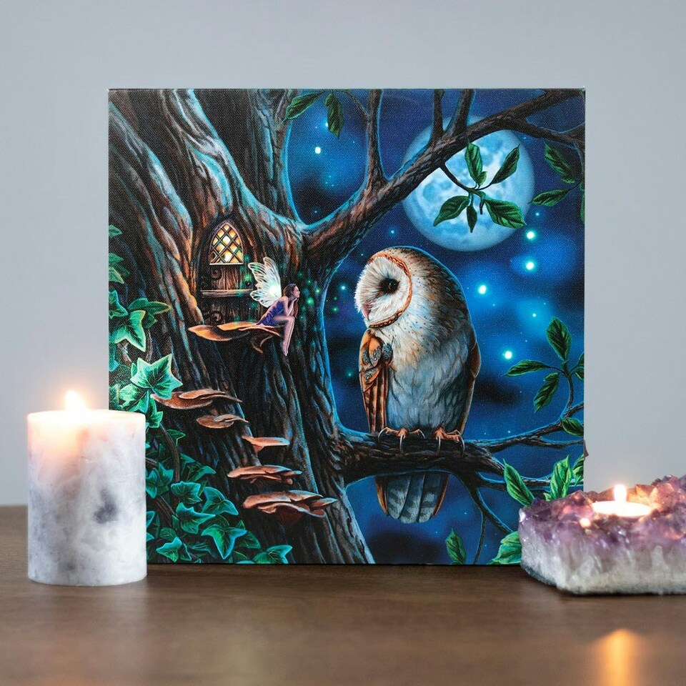 image 1 of Fairy Tail Light Up Canvas
