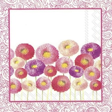 IHR Pretty Bellis Pink Cocktail Napkin 25cm 3ply 20 Pack