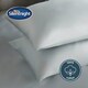 image 3 of Silentnight Pure Cotton Housewife Pillowcase Pair, Silver Grey