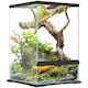 image 1 of PawHut Glass Reptile Terrarium, 40L Vivarium for Lizards, Frogs, Snakes, Turtles