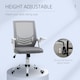image 3 of Vinsetto Mesh Swivel Office Chair Task Computer Chair w/ Lumbar Support, Grey