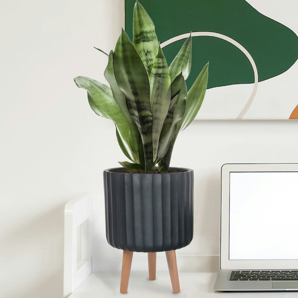 image 1 of Modern Ribbed Black Cylinder Planter on Legs, Round Pot Plant Stand Indoor D24 H32 cm, 7.6 ltrs Cap.