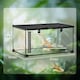 image 7 of PawHut Glass Reptile Terrarium Habitats for Lizards, Frogs, Snake 50 x 30 x 25cm